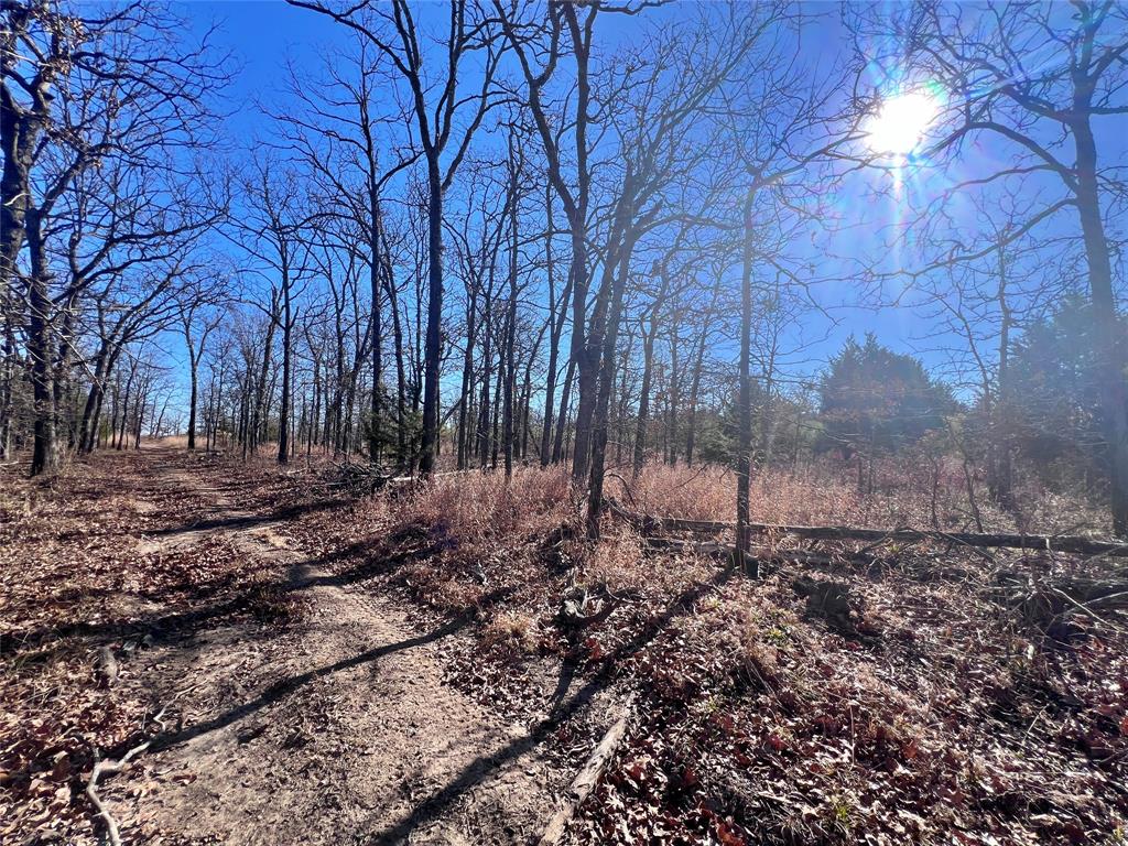 0 N3840 Road Coalgate, OK 74538 - Photo 30 of 35 a view of backyard with green space
