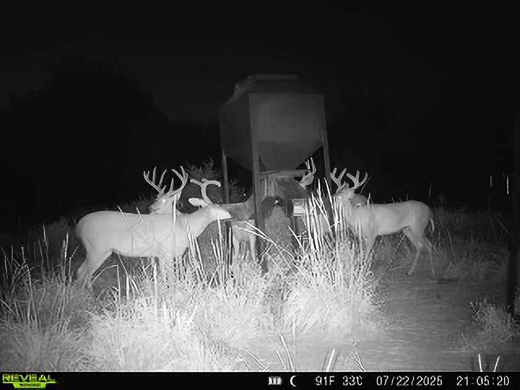 0 N3840 Road Coalgate, OK 74538 - Photo 3 of 35 a view of a chairs and table in a backyard