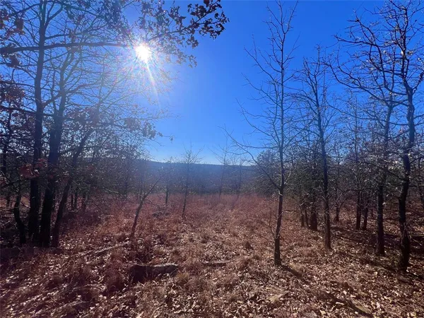a view of a street with wooden fence