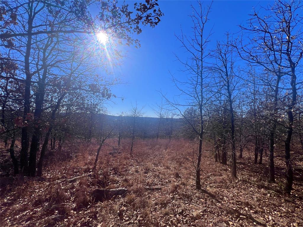 0 N3840 Road Coalgate, OK 74538 - Photo 31 of 35 a view of a yard
