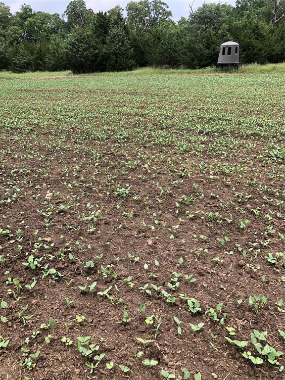 0 N3840 Road Coalgate, OK 74538 - Photo 33 of 40 a view of a field with an outdoor space