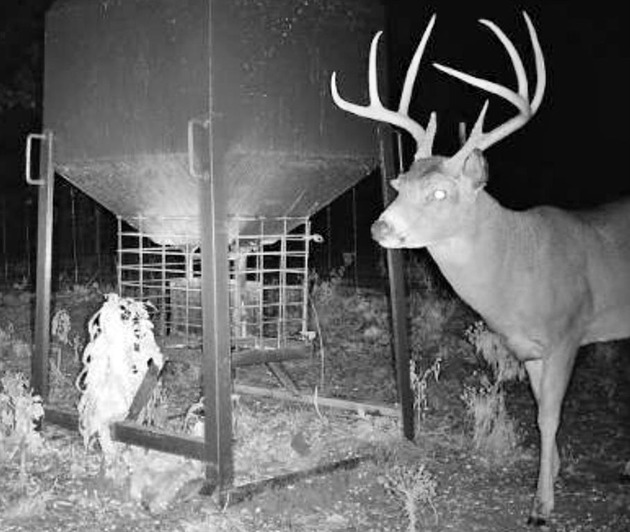 0 N3840 Road Coalgate, OK 74538 - Photo 34 of 35 a view of entryway