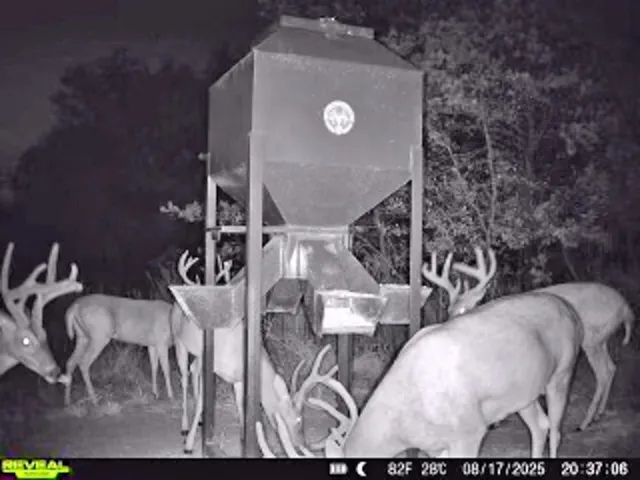 a view of dinning table and chairs in patio