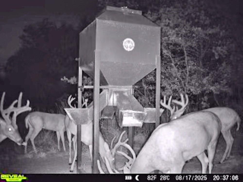 0 N3840 Road Coalgate, OK 74538 - Photo 5 of 35 a view of dinning table and chairs in patio