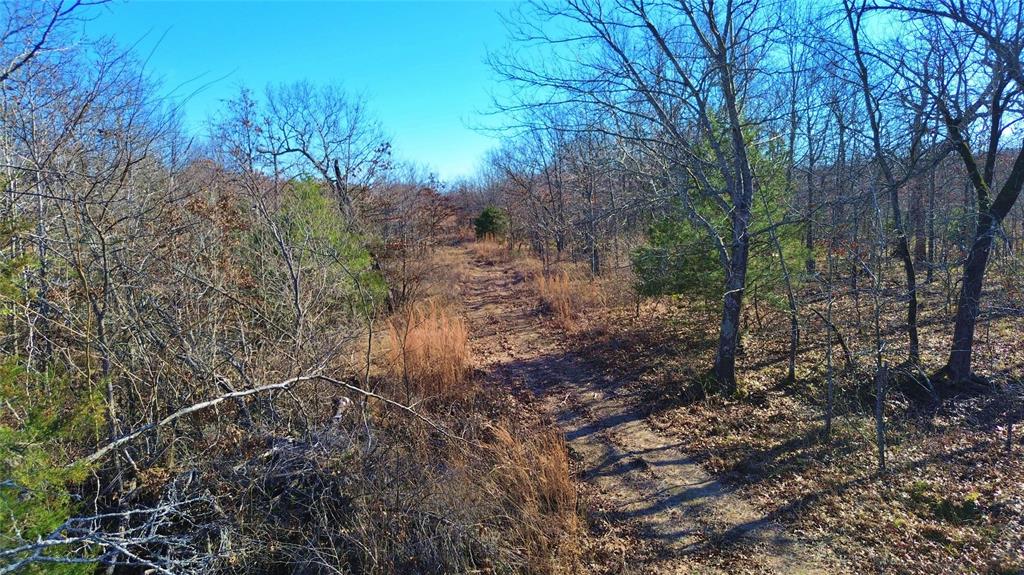 0 N3840 Road Coalgate, OK 74538 - Photo 7 of 40 a view of a forest filled with trees