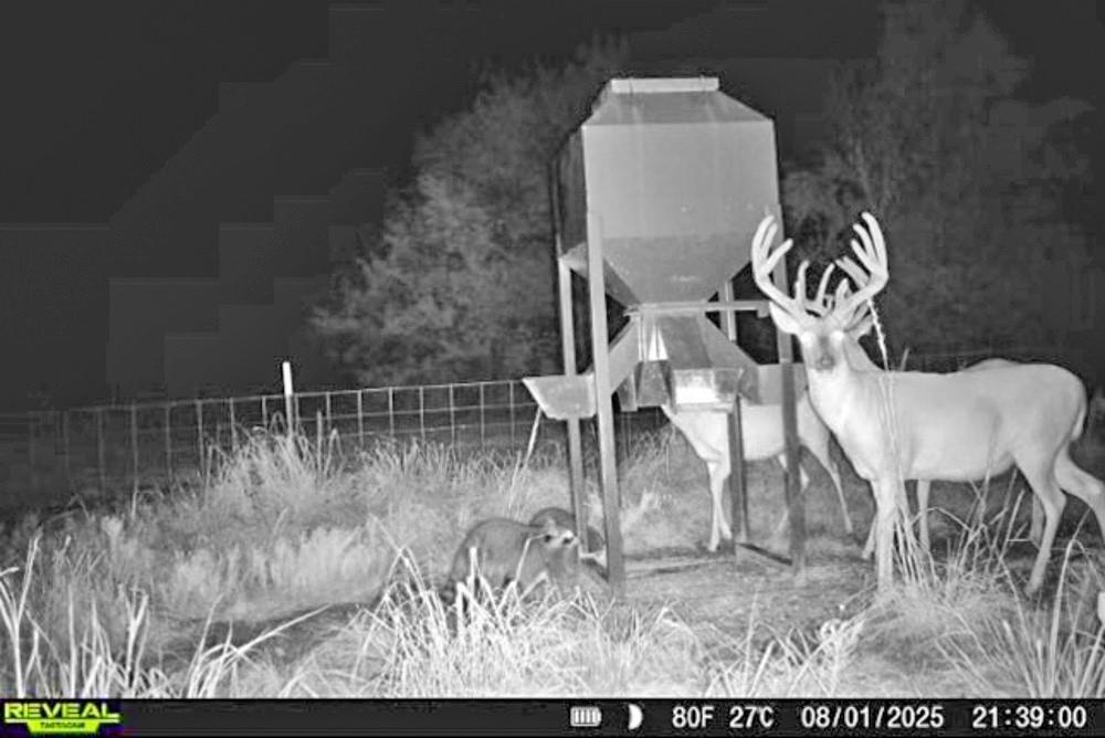0 N3840 Road Coalgate, OK 74538 - Photo 8 of 35 a view of furniture and wooden floor