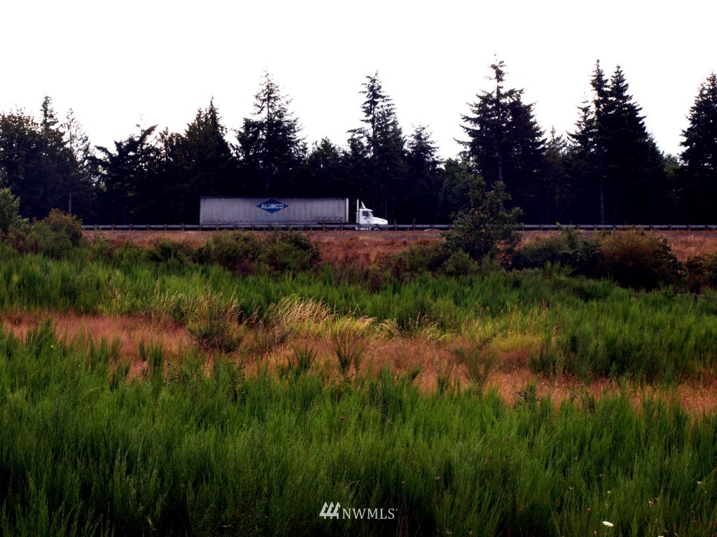 0 Case Road Southwest Olympia, WA 98501 - Photo 2 of 10 a view of outdoor space and yard