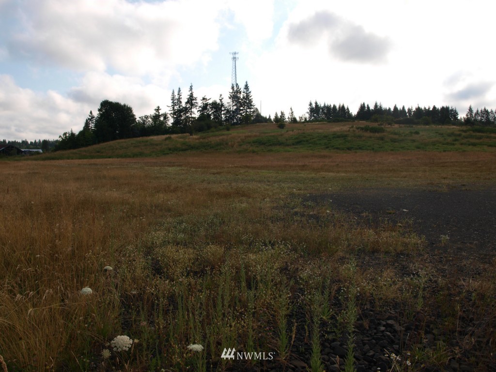 0 Case Road Southwest Olympia, WA 98501 - Photo 3 of 10