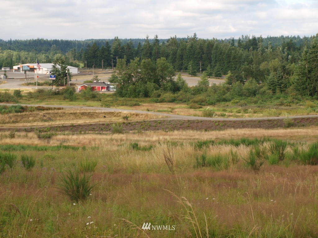 0 Case Road Southwest Olympia, WA 98501 - Photo 6 of 10 a view of lake view and mountain view
