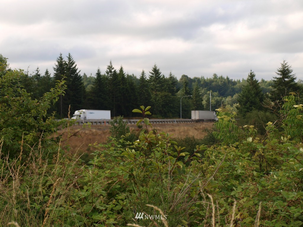 0 Case Road Southwest Olympia, WA 98501 - Photo 8 of 10 a view of a big yard with plants and a bench