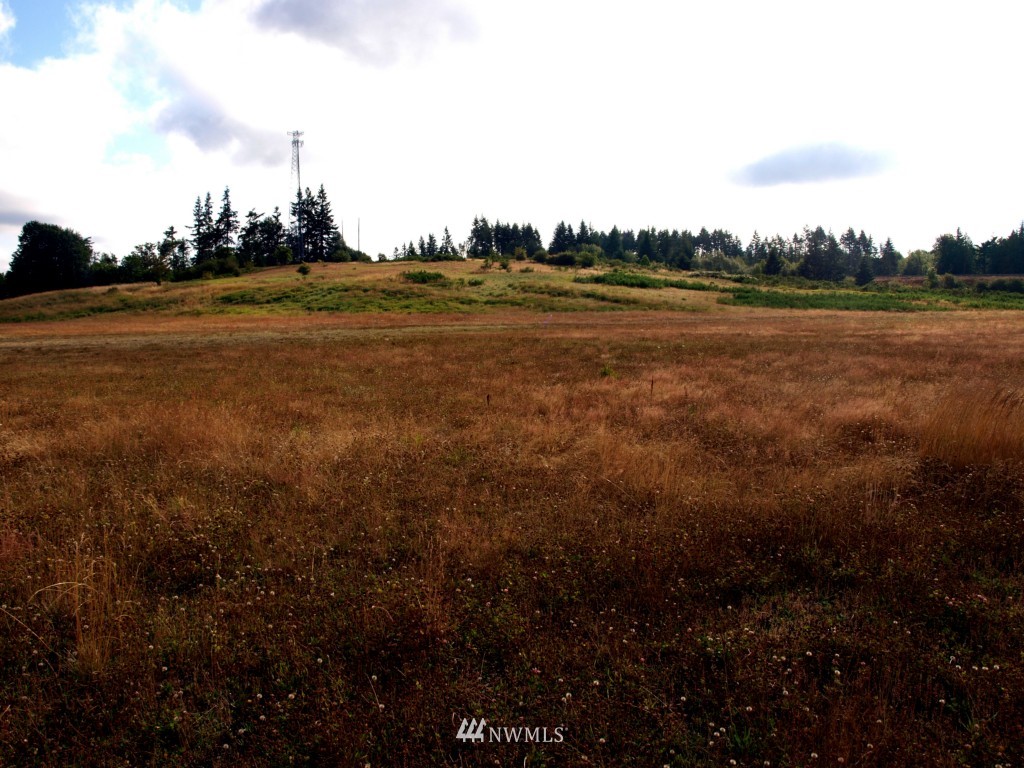 0 Case Road Southwest Olympia, WA 98501 - Photo 9 of 10 a view of outdoor space and city view