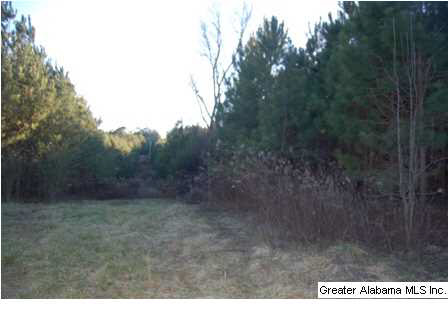 66 County Road, Unit 50 Woodland, AL 36280 - Photo 7 of 12