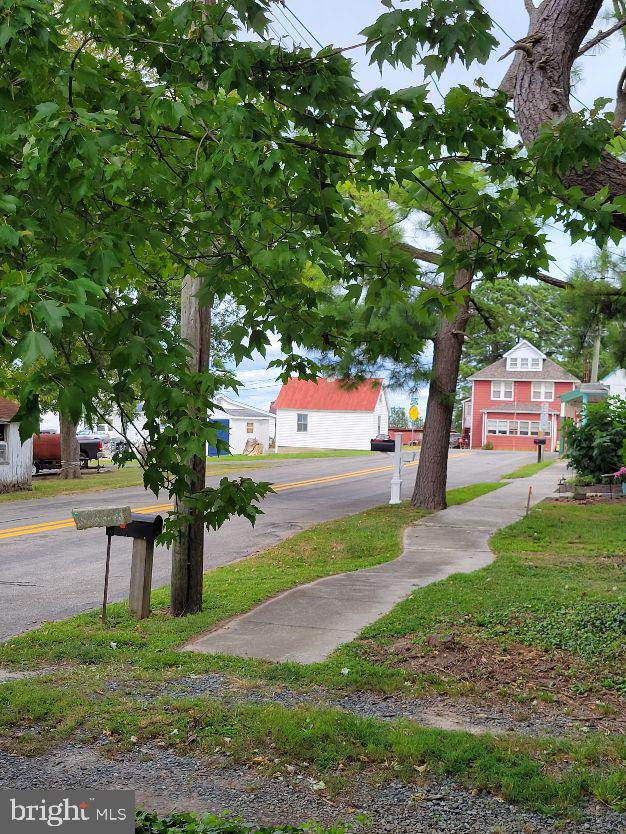 312 Front Street Dover, DE 19901 - Photo 15 of 15 a view of a park that has large trees