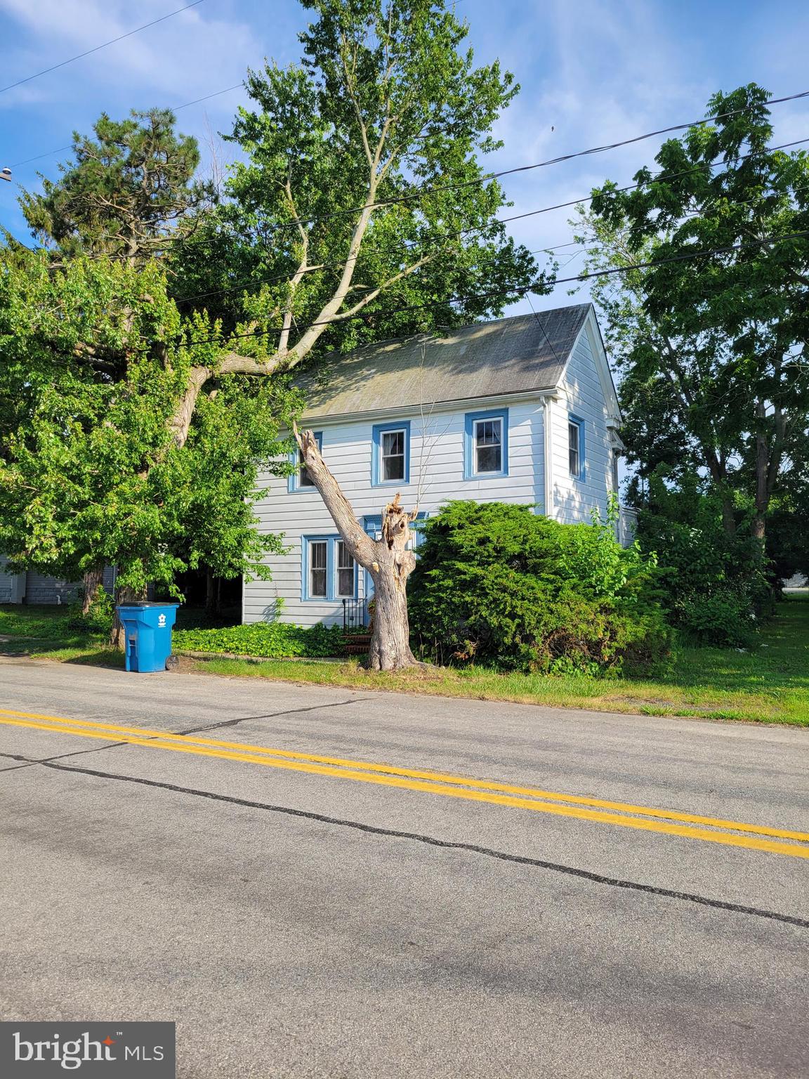 312 Front Street Dover, DE 19901 - Photo 2 of 15 a house that has a tree in front of it