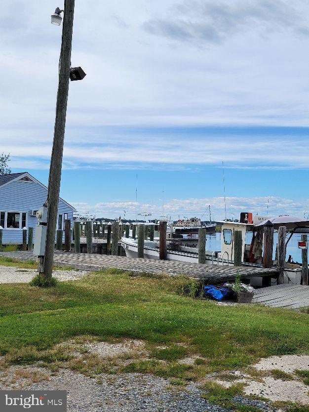 312 Front Street Dover, DE 19901 - Photo 6 of 15 a view of a garden with lawn chairs