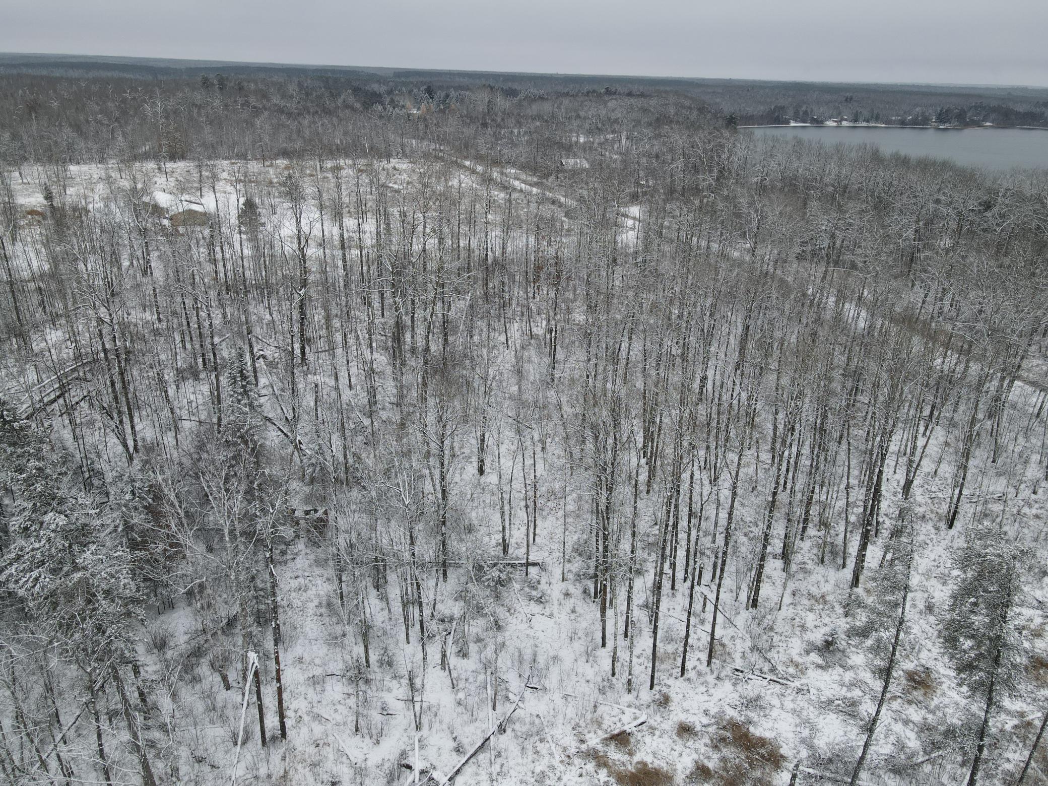 Forestry Rd Forestry Road Bovey, MN 55709 - Photo 1 of 1 Gallery Image 1