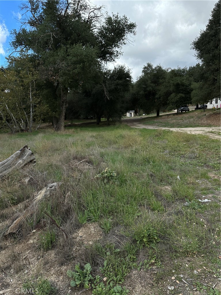 34930 East Benton Road Hemet, CA 92544 - Photo 11 of 54 a view of outdoor space with green field and trees all around