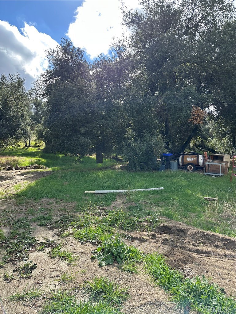 34930 East Benton Road Hemet, CA 92544 - Photo 36 of 54 a view of a trees in a park