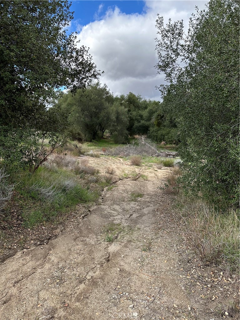 34930 East Benton Road Hemet, CA 92544 - Photo 41 of 54 a view of outdoor space with trees all around