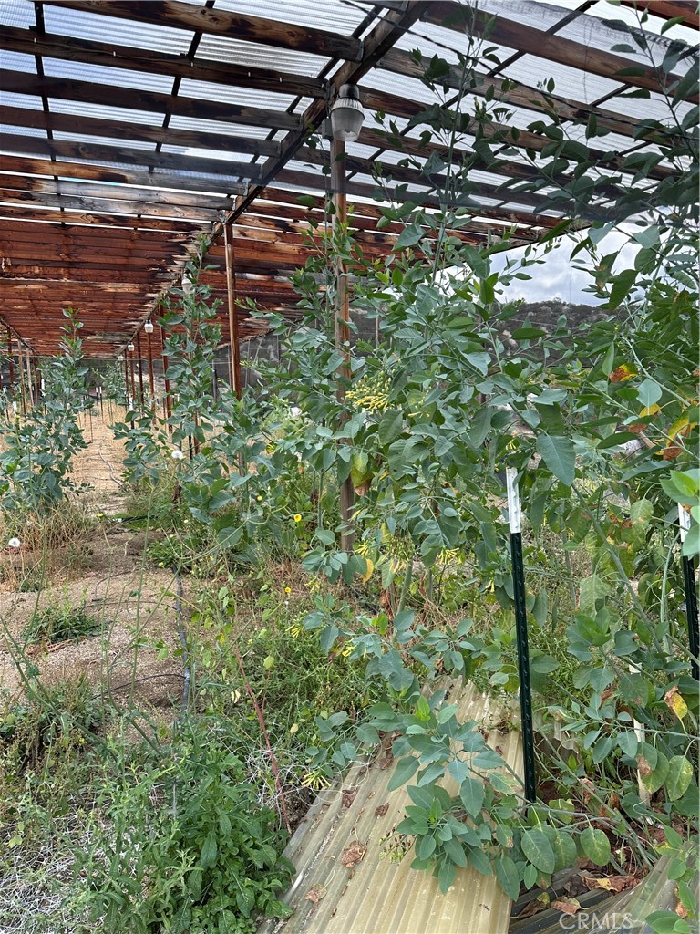 34930 East Benton Road Hemet, CA 92544 - Photo 45 of 54 a backyard of a house with lots of green space and shower