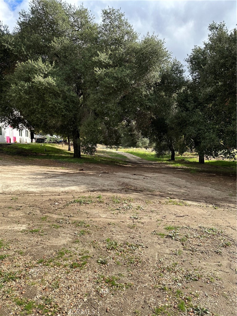 34930 East Benton Road Hemet, CA 92544 - Photo 10 of 54 a view of a yard with a large trees