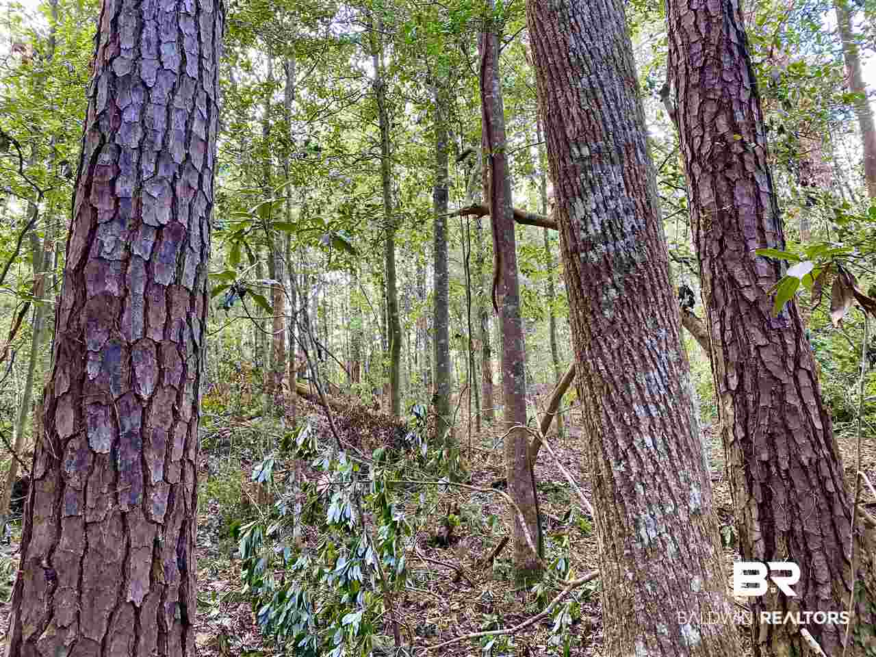 0 Maureen Circle Daphne, AL 36527 - Photo 6 of 26