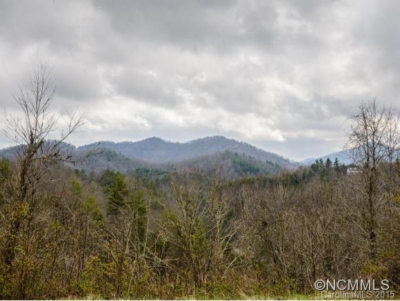 1801 Turnpike Road Marshall, NC 28753 - Photo 9 of 24 Gallery Image 9