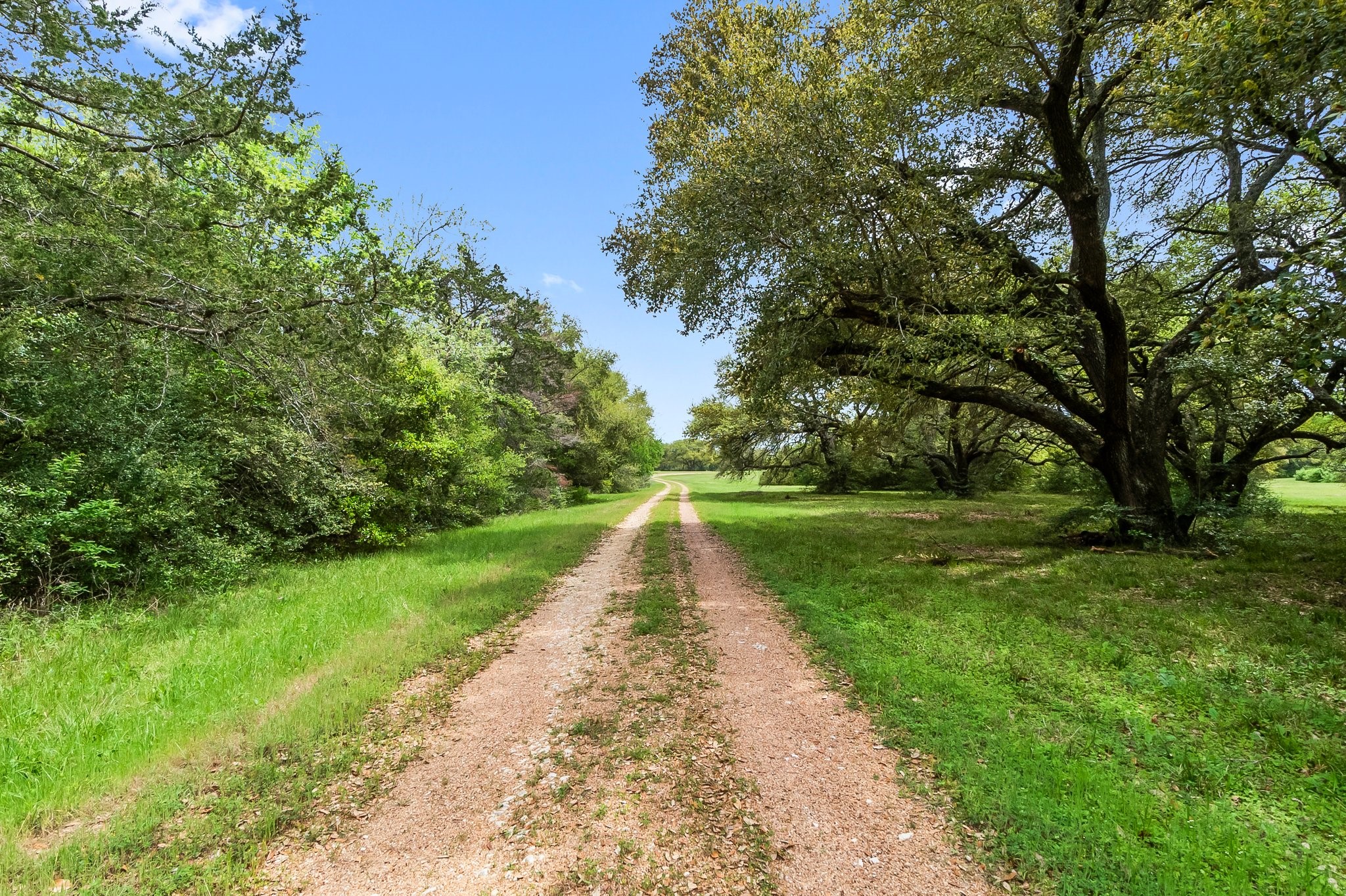 2982 FM 2935 Road North Brenham, TX 77833 - Photo 8 of 49