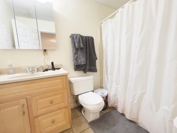 45 Lawn Street, Unit PE Boston, MA 02120 - Photo 23 of 26 a bathroom with a sink a toilet and shower curtain