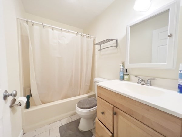 45 Lawn Street, Unit PE Boston, MA 02120 - Photo 26 of 26 a bathroom with a sink a toilet and a mirror