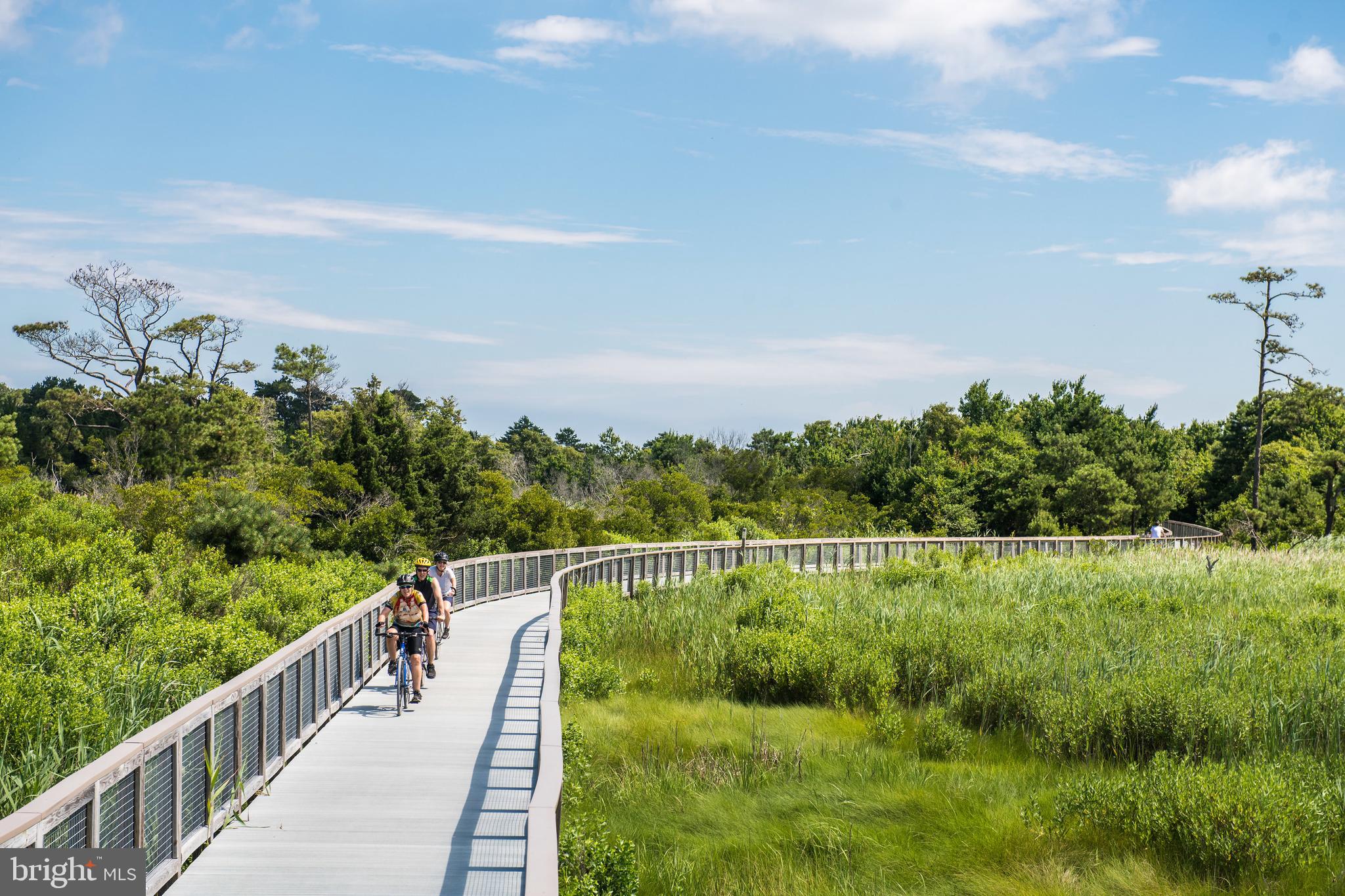 214 Cedar Drive, Unit 33A Lewes, DE 19958 - Photo 23 of 25