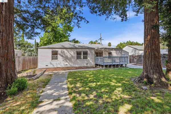 a view of a yard with plants and a tree