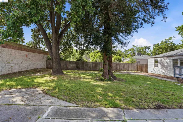 a view of backyard with tree