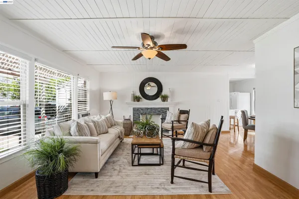 a living room with furniture a rug potted plant and a window