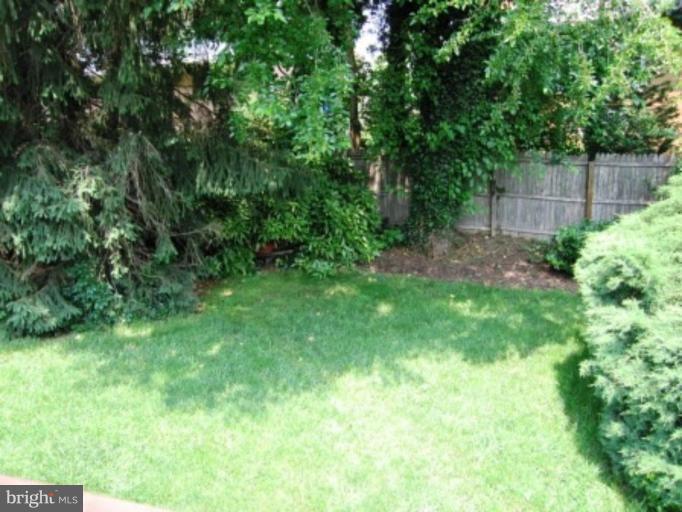 10811 Meadowhill Road Silver Spring, MD 20901 - Photo 18 of 19 Back yard