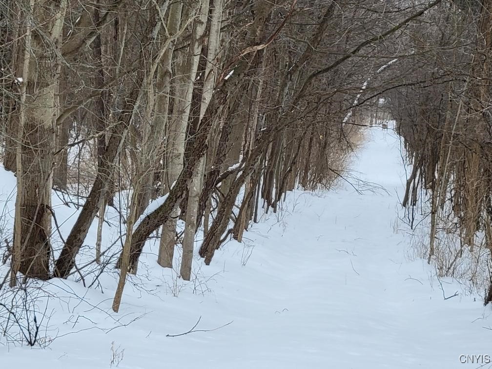 1272 Bellows Road Lysander, NY 13027 - Photo 5 of 8 There are three access roads to the enter the prop