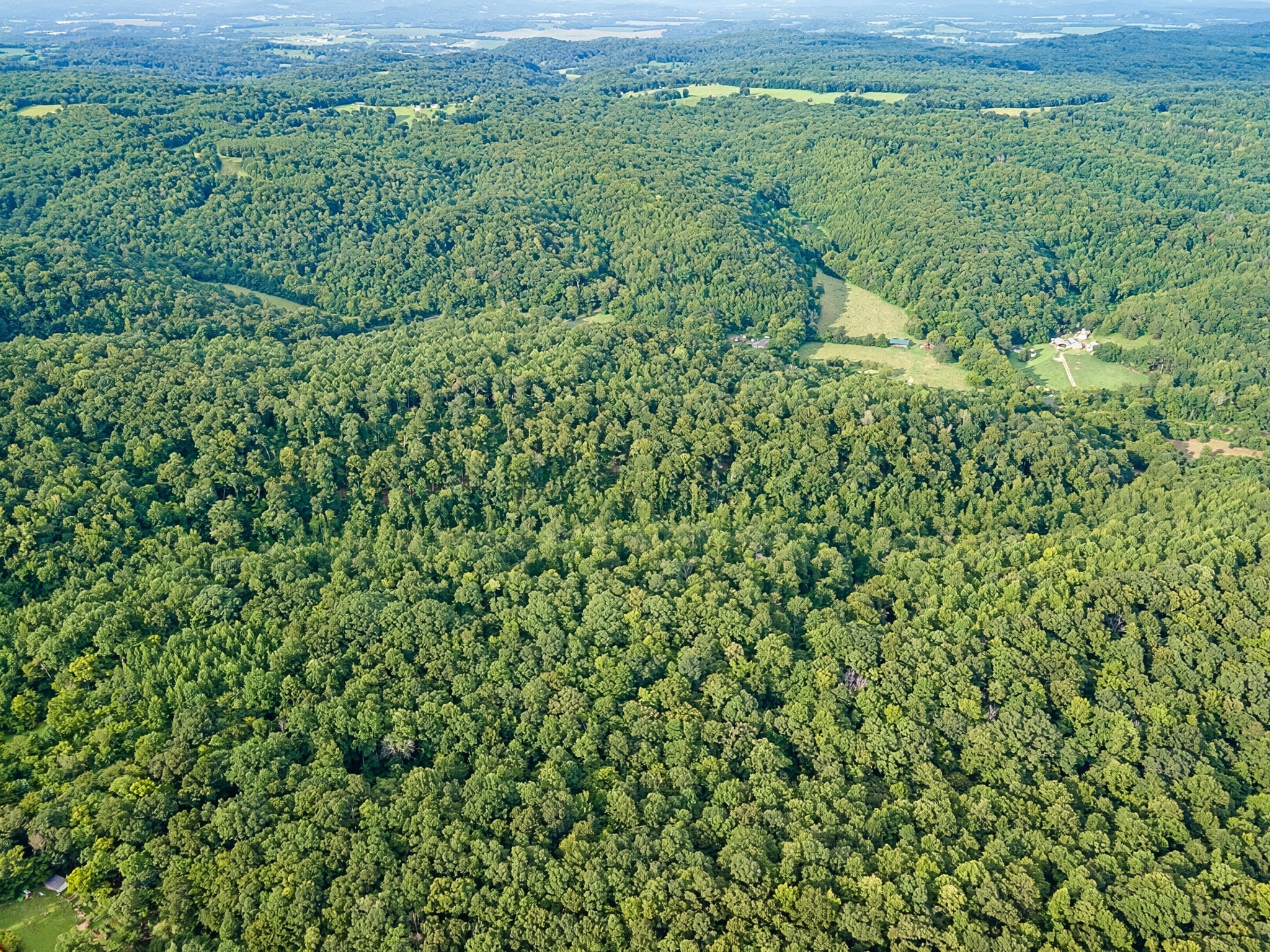 0 Dog Branch Road Goodspring, TN 38460 - Photo 8 of 46 Gallery Image 8