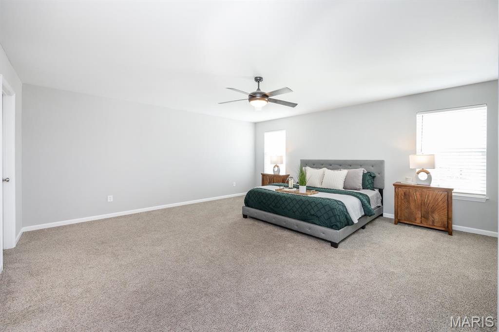 1220 Lear Lane Mascoutah, IL 62258 - Photo 13 of 27