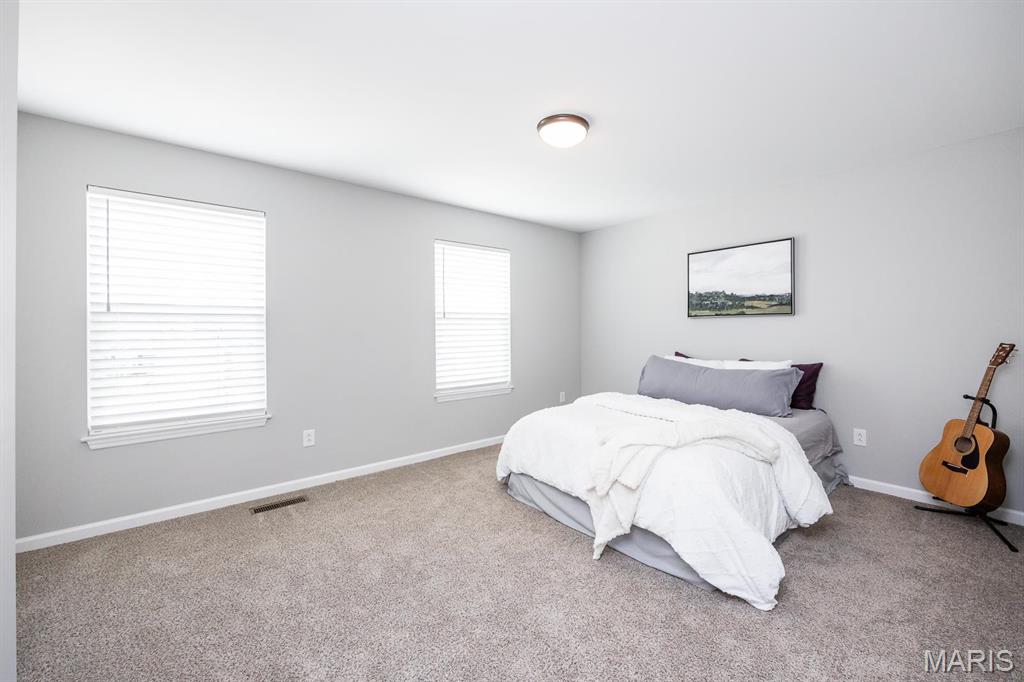 1220 Lear Lane Mascoutah, IL 62258 - Photo 18 of 27