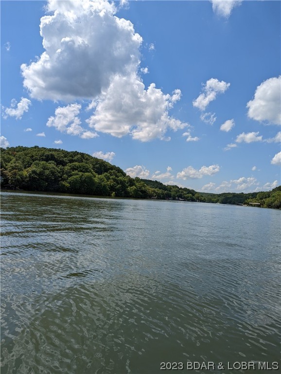 7.3 acres (on left) as seen from the water