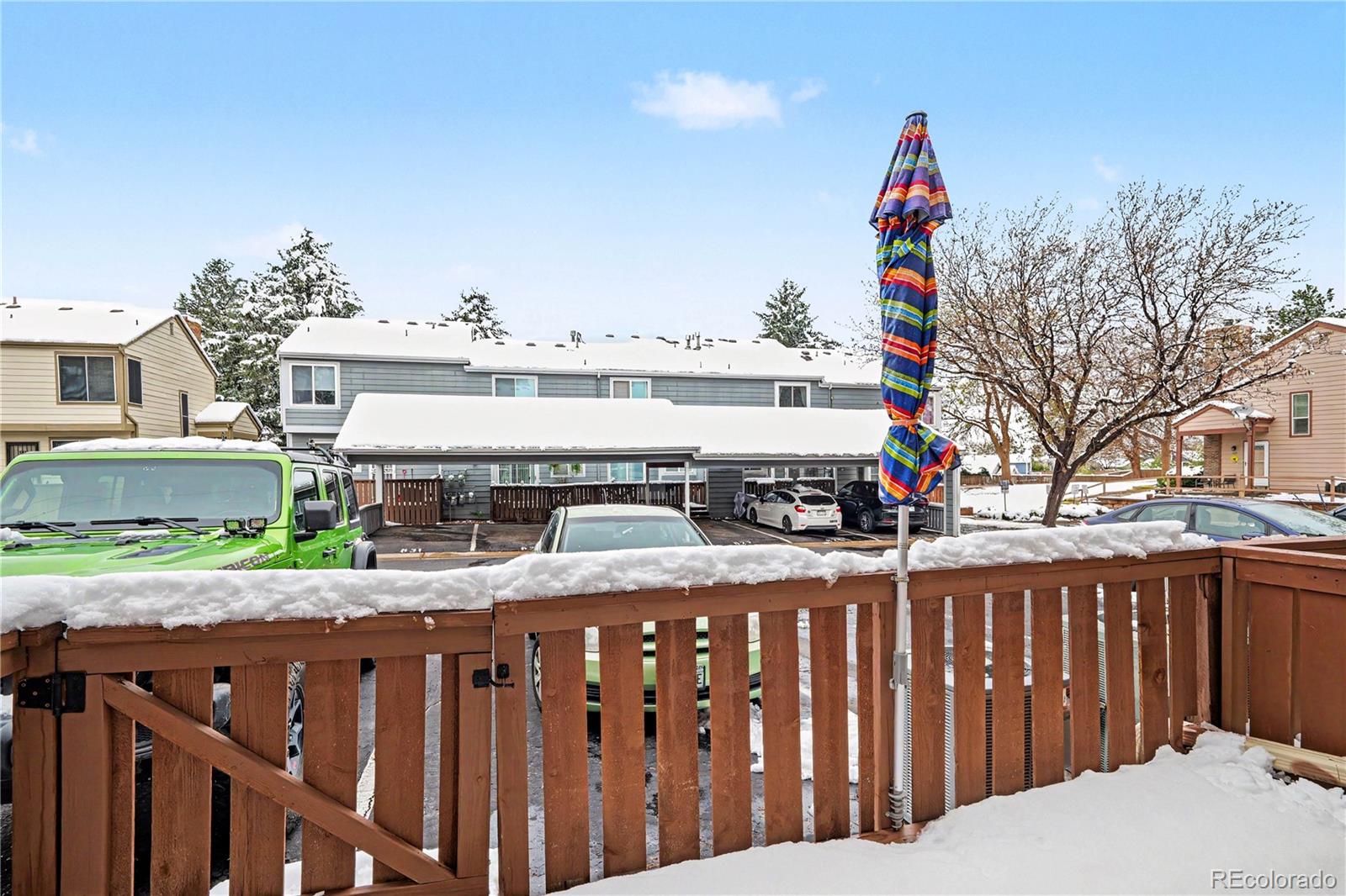 828 Summer Drive Highlands Ranch, CO 80126 - Photo 19 of 23