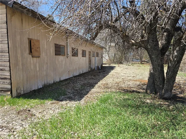 a white house that has tree in front of it