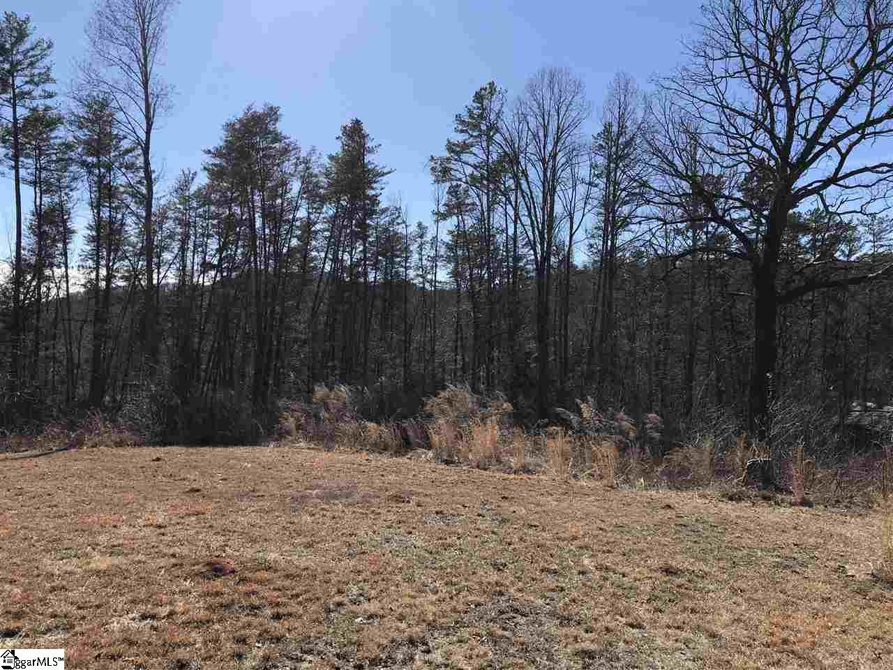 113 Little Eastatoee Road Sunset, SC 29685 - Photo 22 of 30