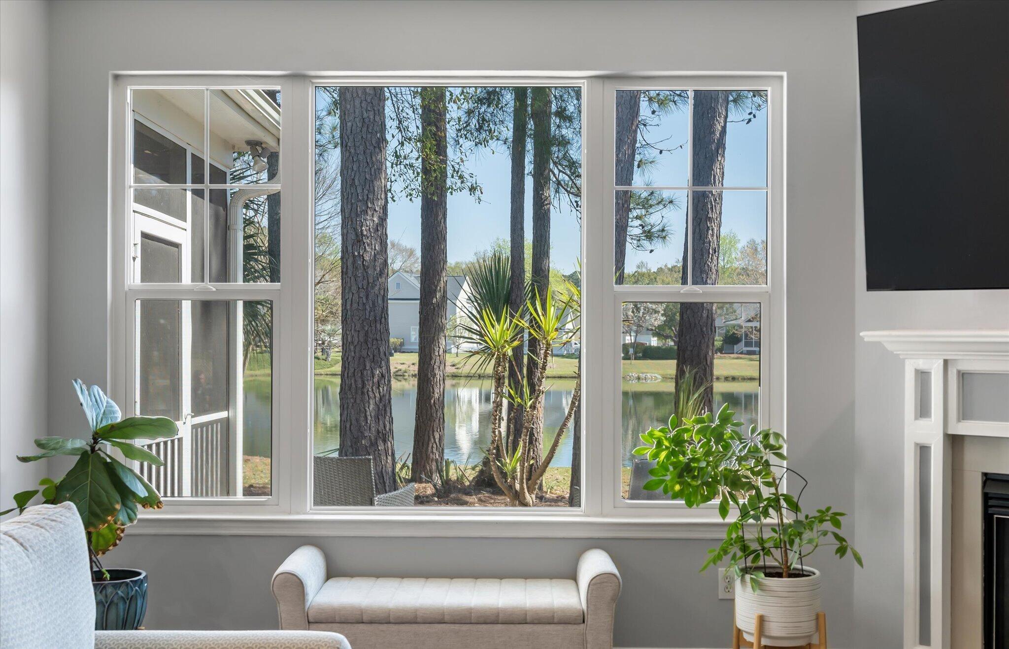 1705 Blalock Street Mount Pleasant, SC 29466 - Photo 11 of 60 Living Room Views
