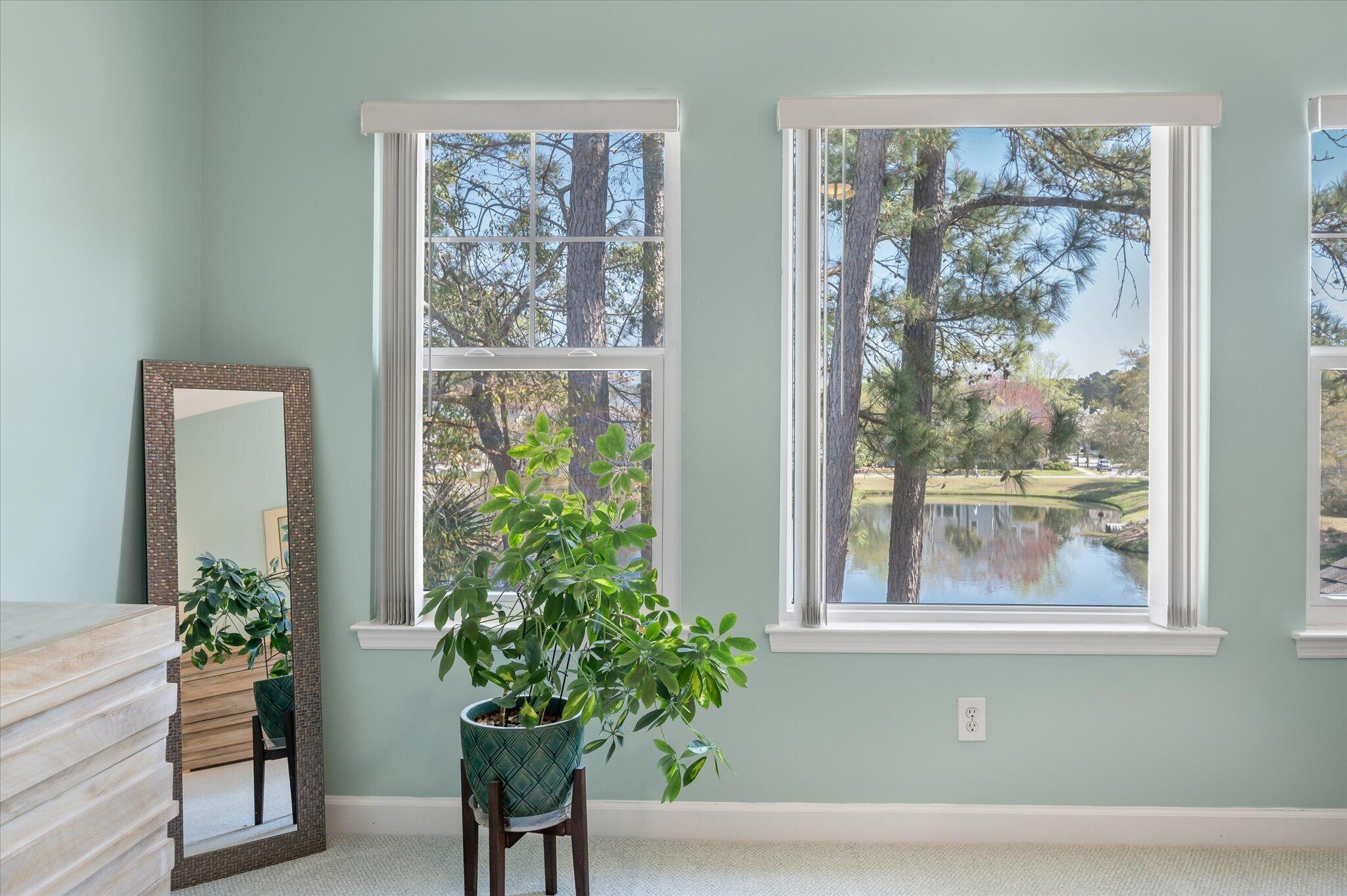 1705 Blalock Street Mount Pleasant, SC 29466 - Photo 28 of 60 Views From the Primary Bedroom