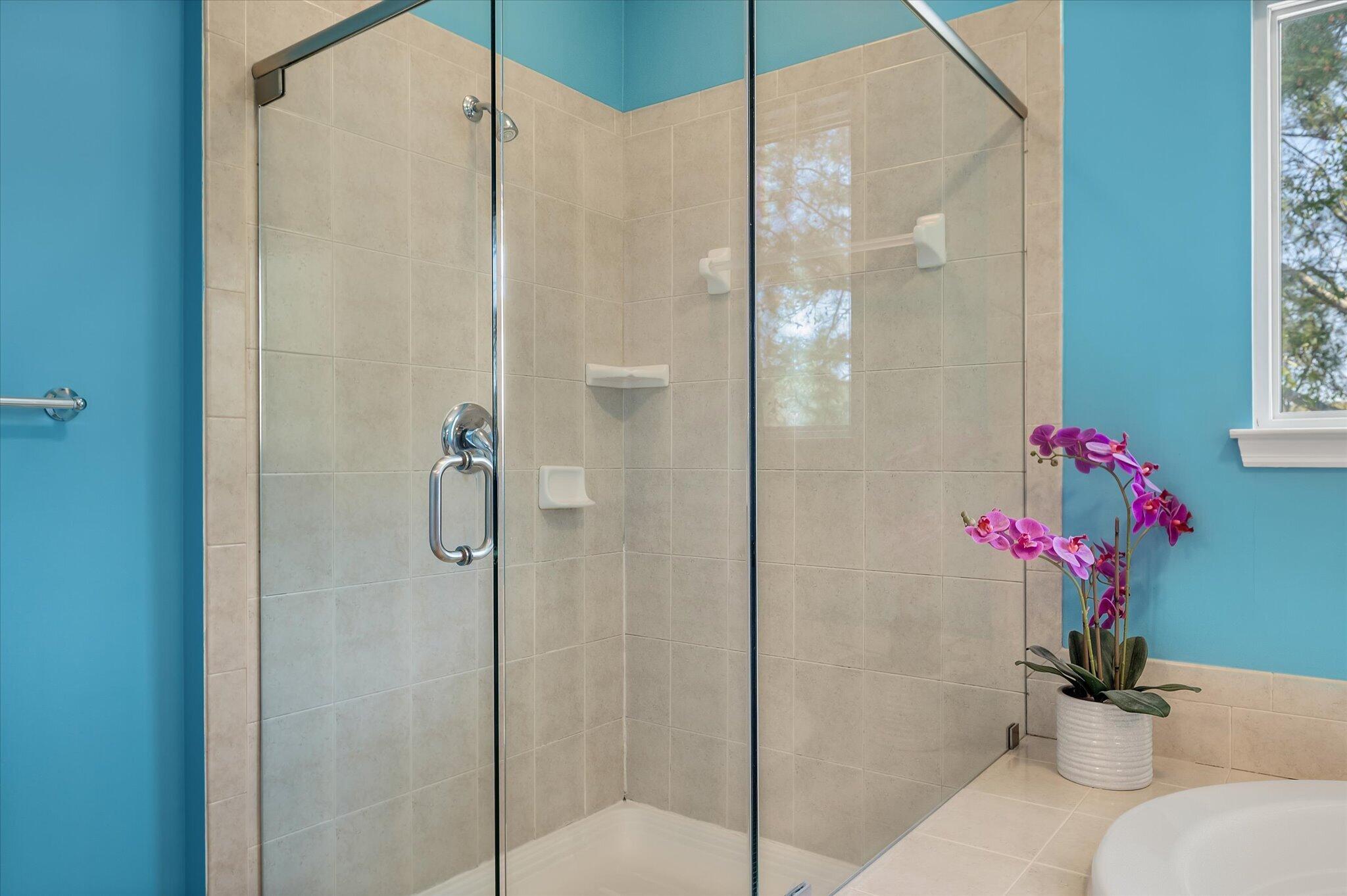 1705 Blalock Street Mount Pleasant, SC 29466 - Photo 30 of 60 Updated Shower