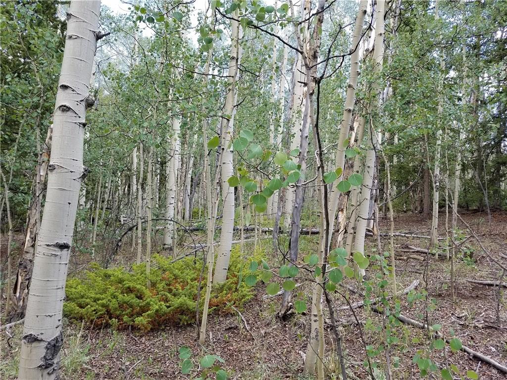 986 Osprey Road Como, CO 80432 - Photo 1 of 12 a backyard of a house with lots of green space and trees