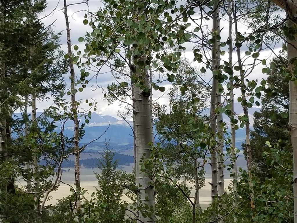 986 Osprey Road Como, CO 80432 - Photo 2 of 12 a backyard of a building with large trees