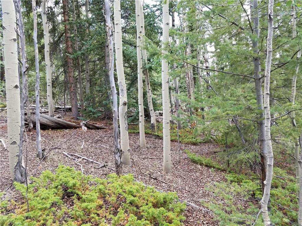 986 Osprey Road Como, CO 80432 - Photo 11 of 12 a view of a garden with large trees
