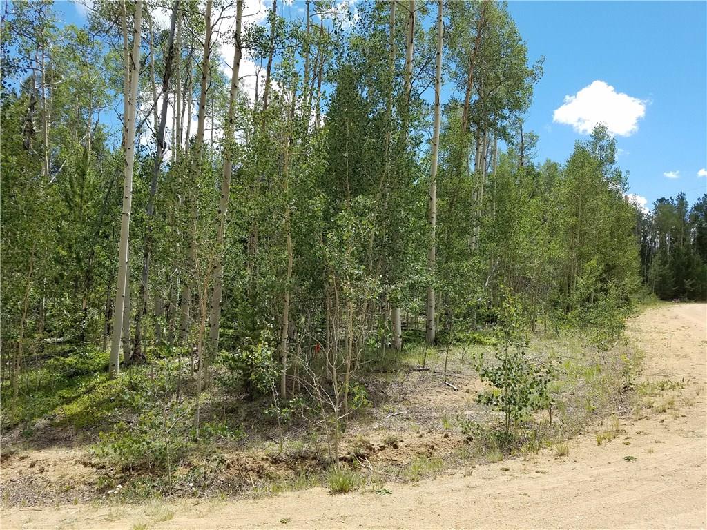 986 Osprey Road Como, CO 80432 - Photo 12 of 12 a view of a forest filled with trees